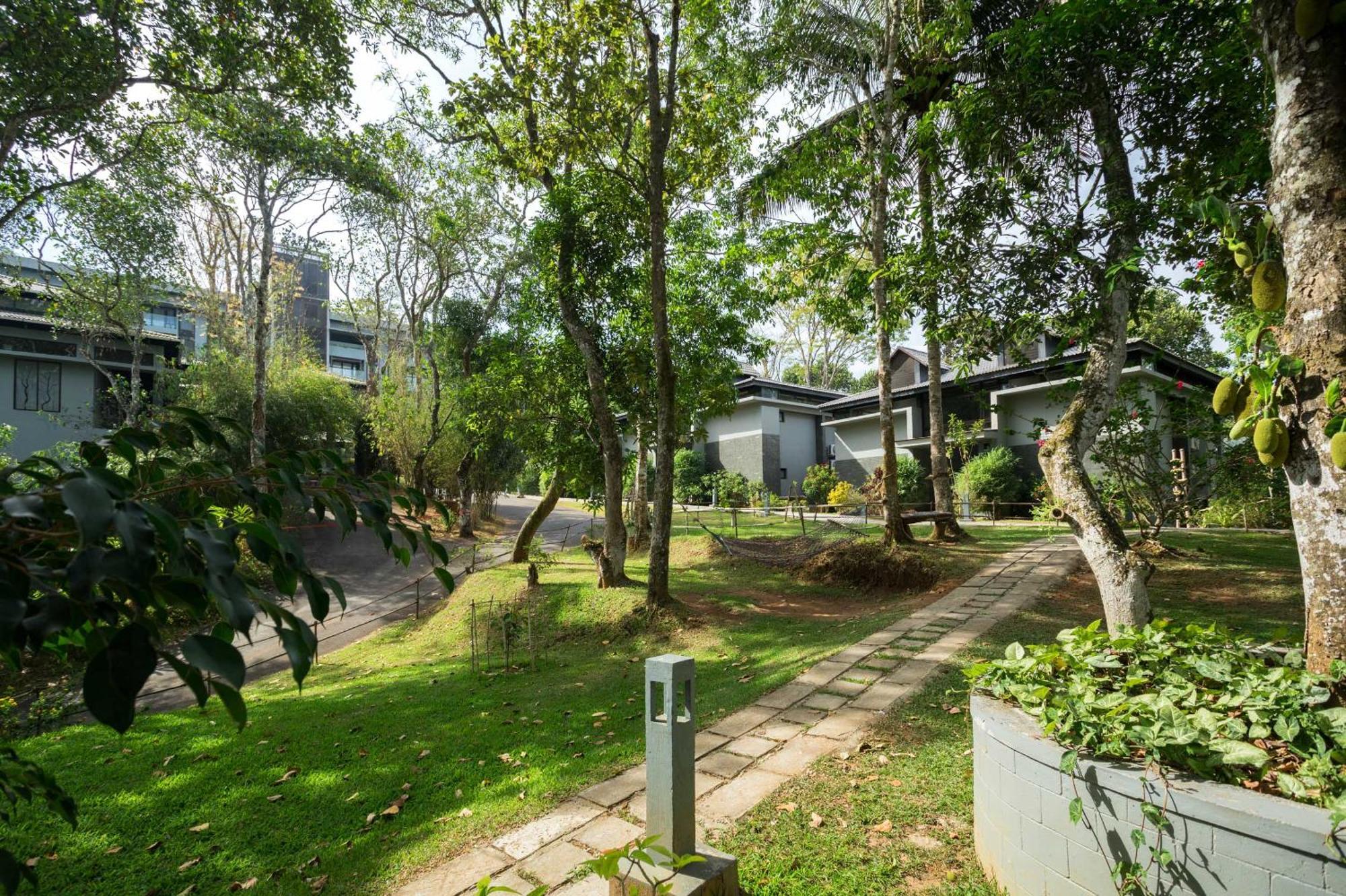 The Mountain Courtyard Thekkady Hotel Ngoại thất bức ảnh